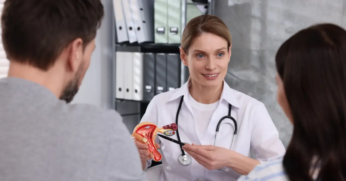 IVF fertility specialist explaining female reproductive anatomy to a couple in a medical office