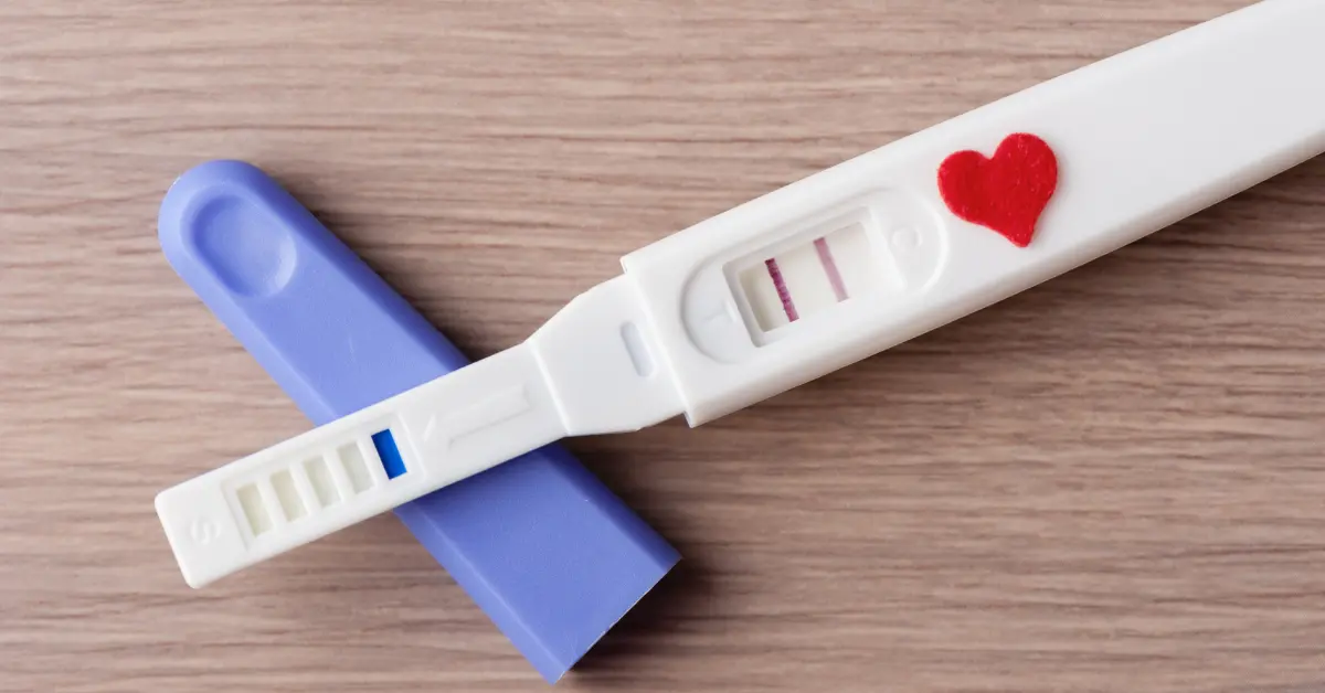 Egg donor screening concept shown with two positive pregnancy tests placed on a wooden surface.