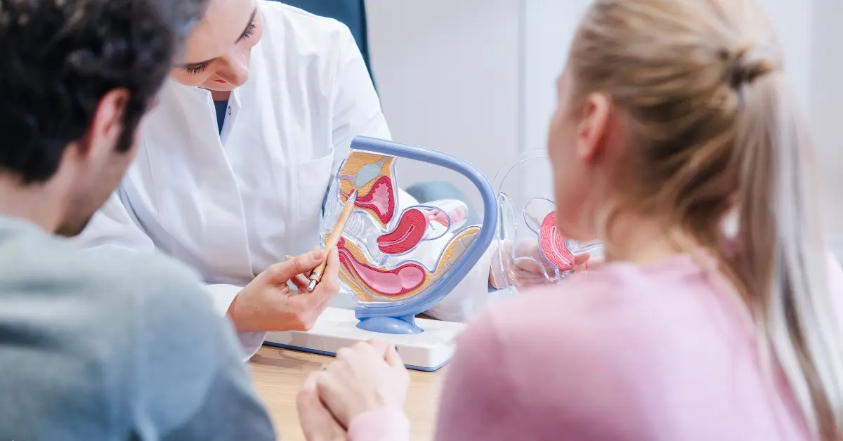 Fertility clinic for IVF consultation showing a doctor explaining female reproductive anatomy to a couple using a model.