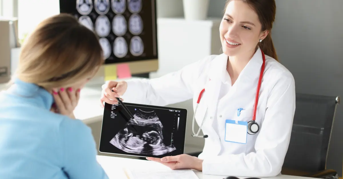 Fertility clinic doctor showing a female reproductive anatomy model to a patient during a consultation